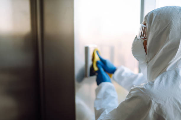 Best Mold Remediation Experts  in USA